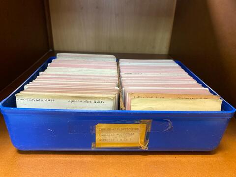 Original Objeto digital not accessible