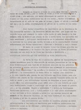 Open original Objet numérique