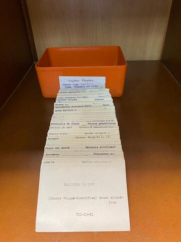 Original Digitaal object not accessible