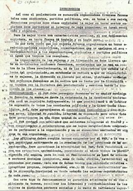 Estatuto Frente Amplio de Mujeres