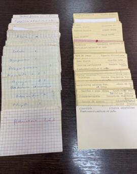 Open original Objet numérique