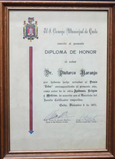 Original Digitaal object not accessible