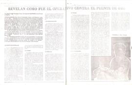 Recorte - Revelan como fue el operativo contra el Puente de Oro